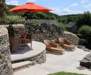 Terraced walling, paving and rockery making a stage for our small tree motif. A lovely place to relax. Where did that dog come from?
