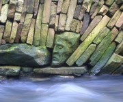 Something unexpected!