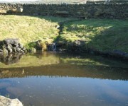 Water features for tranquil natural gardens.