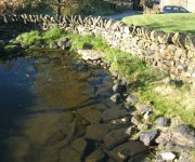 Water features for tranquil natural gardens.