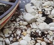 We like to introduce something just that little bit different.