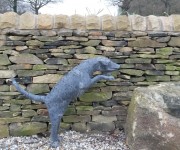Terraced walling, paving and rockery making a stage for our small tree motif. A lovely place to relax. Where did that dog come from?