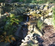 We like to introduce something just that little bit different.