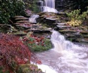 Our waterfall and streamside stonework at the aptly named Thunder Bridge.